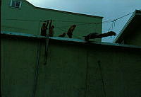 1981. Sjúklingi náð niður af gamla Ísfélagshúsinu..jpg